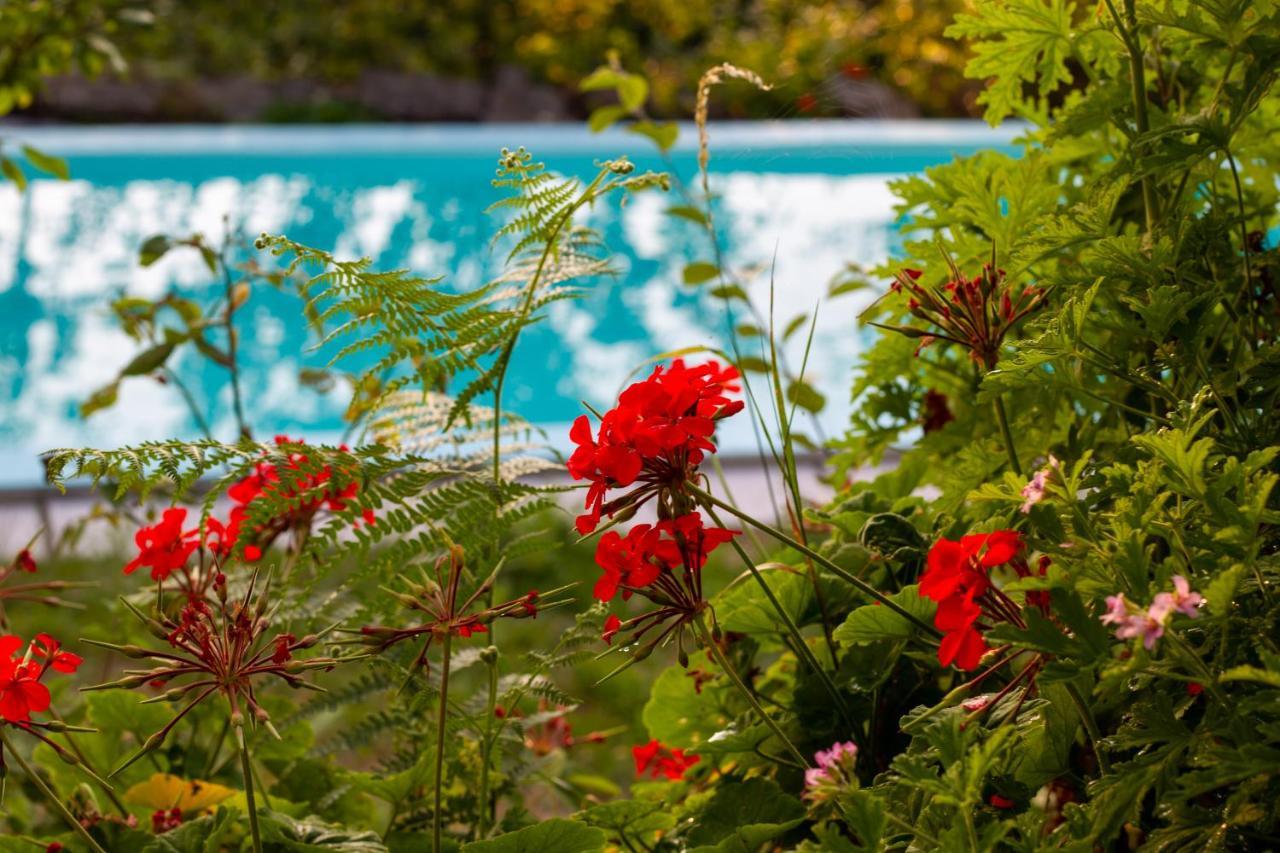 Horizontes Serranos Holiday home
