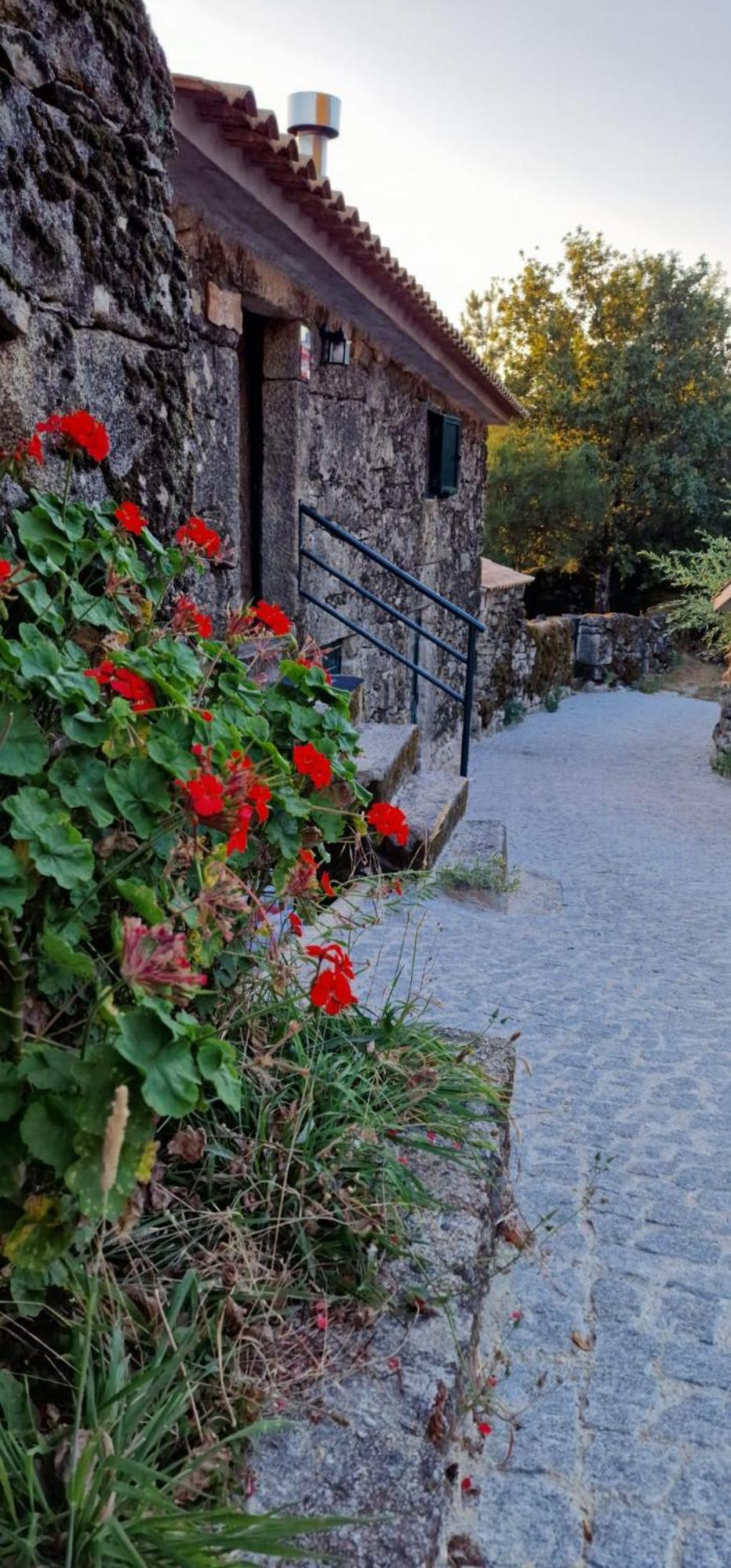 Holiday home Horizontes Serranos Tondela